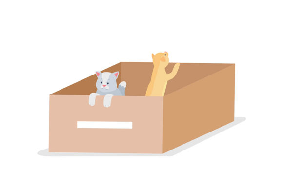 Homeless Grey and Tabby Cats Characters Review